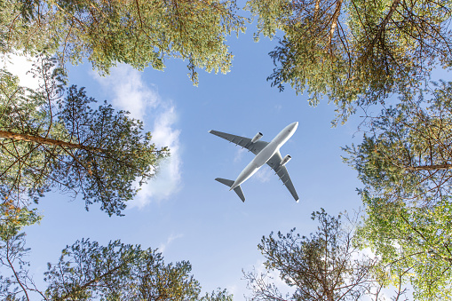 Travel, transportation, aviation concept. Wide-body passenger airplane flying overhead against a summer blue sky between the trees, bottom view.