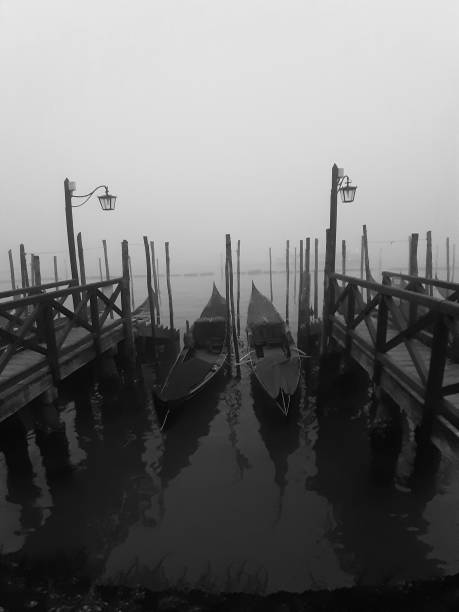 Gondolas in a row at dawn on St Marks basin, Venice