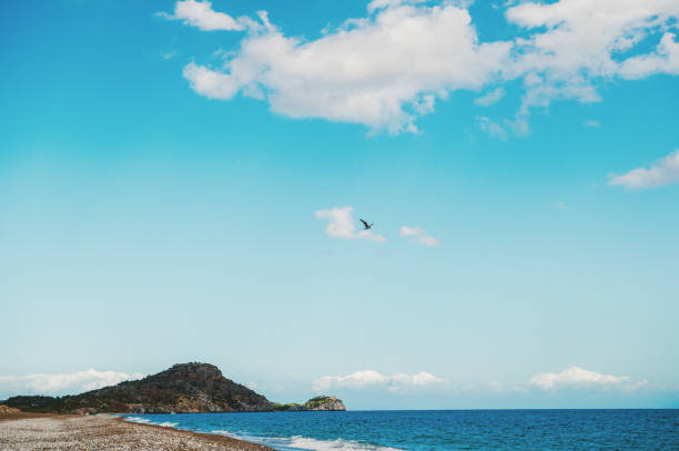 Tropical beach with turquoise waters in Bahia at dawn, northeast Brazil - Porto Seguro
