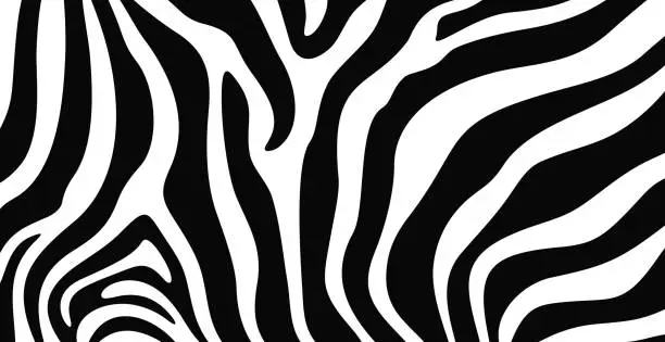 Vector illustration of Zebra texture logo. Isolated zebra texture on white background