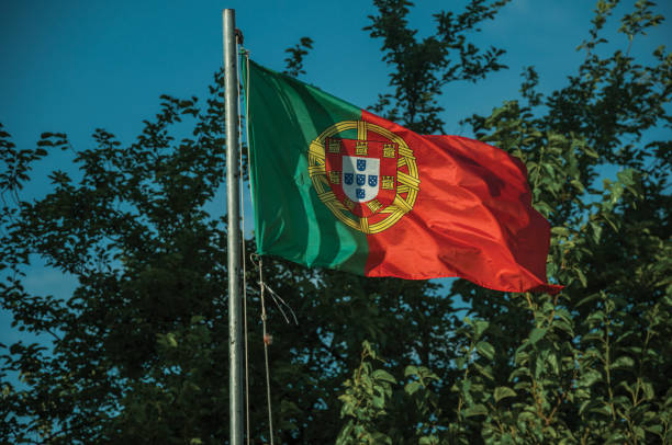istock Portuguese flag fluttering and green branches 1296675422
