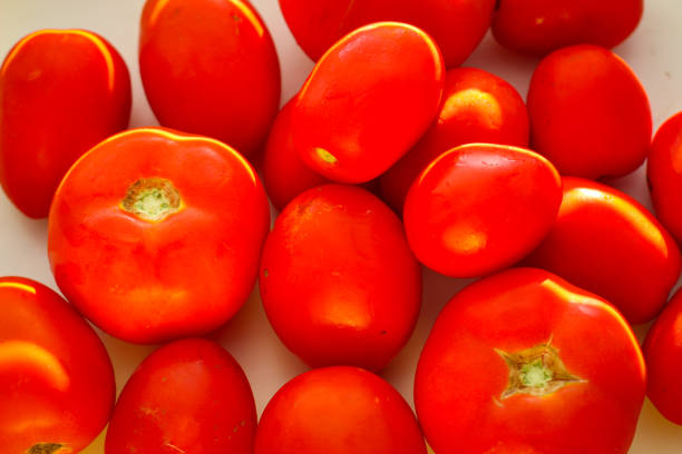 太陽の光で照らされた熟した赤いトマト - evolution progress unripe tomato ストックフォトと画像