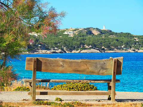 Park bench on the beach by the sea