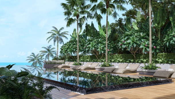 tropical style black swimming pool terrace with sea view 3d render - thailand heaven tropical rainforest forest imagens e fotografias de stock
