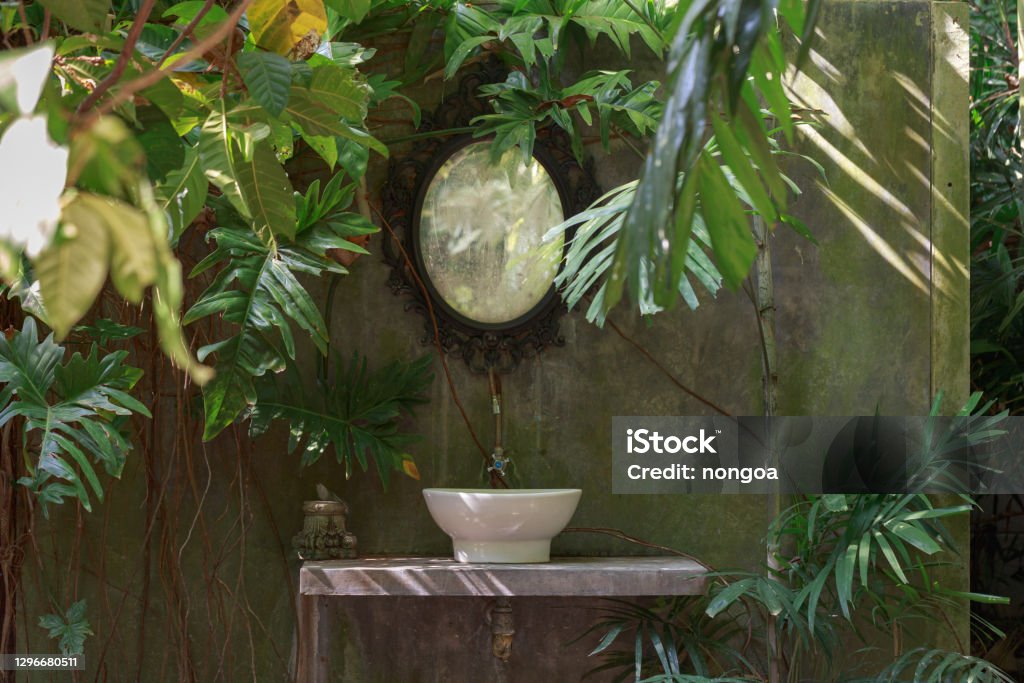 The washbasin in the English garden, a variety of trees are ferns. Sink Stock Photo