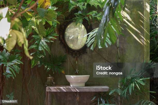 The Washbasin In The English Garden A Variety Of Trees Are Ferns Stock Photo - Download Image Now