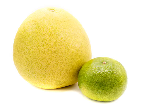 istock citrus maxima and pomelo isolated on white background