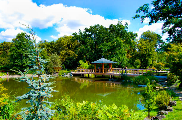 istock Japanese Garden 1296682051