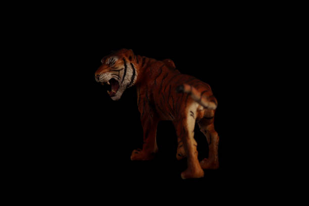 istock portrait of tiger isolated on black background. environment concept. Horizontal image 1296682411