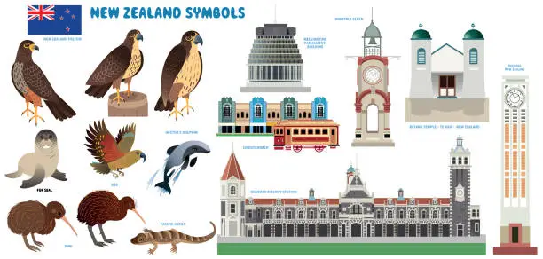 Vector illustration of New Zealand Symbols