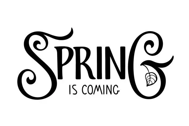 Vector illustration of Spring is coming hand written lettering with leaf on white background. Vector Spring Design element for poster, banner, card, badge, t-shirt, print, icon, logo, badge. Season illustration
