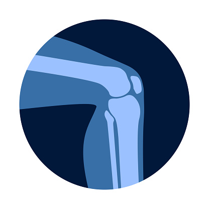 Normal Bone Profile Example Normal Bones Stock Illustration - Download Image Now - Anatomy, Biology ...