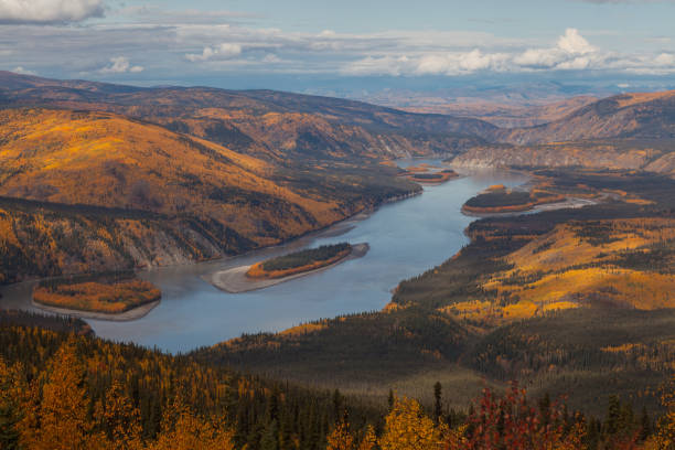 Yukon River near Dawson City View from the Midnight Dome over the Yukon River near Dawson City, Yukon Territory indian summer stock pictures, royalty-free photos & images