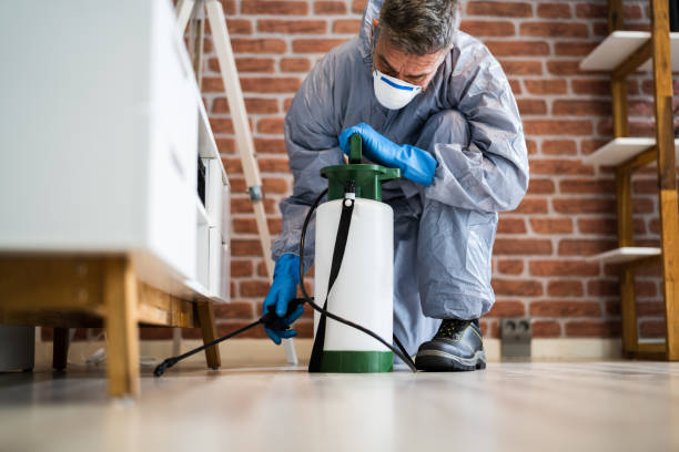 Pest Control Exterminator Services Spraying Insecticide Pest Control Exterminator Services Spraying Termite Insecticide pest control photos stock pictures, royalty-free photos & images