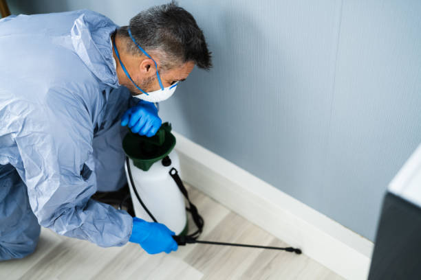 Pest Control Exterminator Man Spraying Pesticide Pest Control Exterminator Man Spraying Termite Pesticide In Office exterminator photos stock pictures, royalty-free photos & images