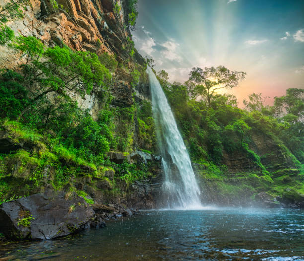istock Lone creek waterfall and pond below during colorful sunset  in Sabie 1296690134