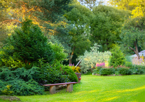 Beautiful garden with trees, lawn with green grass