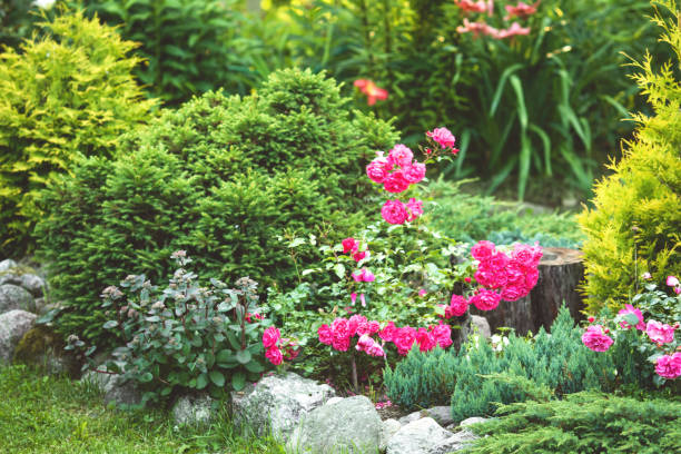 istock Beautiful garden with trees, lawn with green grass 1296690271