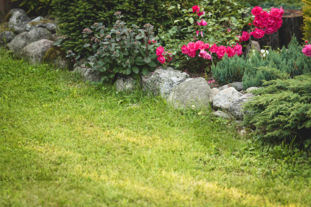 istock Beautiful garden with trees, lawn with green grass 1296690272
