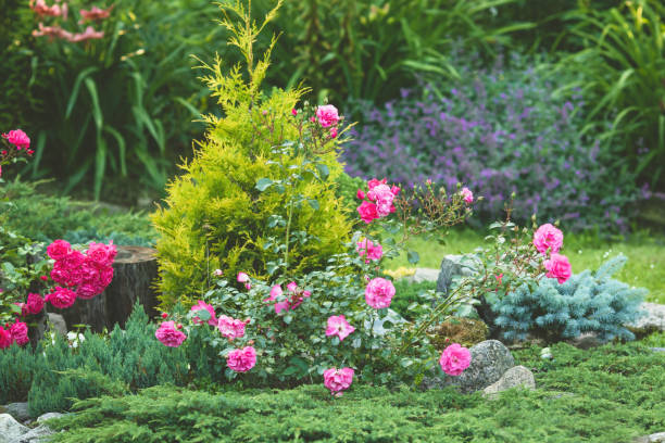 istock Beautiful garden with trees, lawn with green grass 1296690433