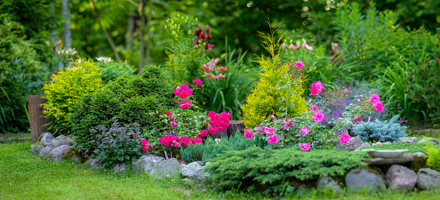 Beautiful garden with trees, lawn with green grass