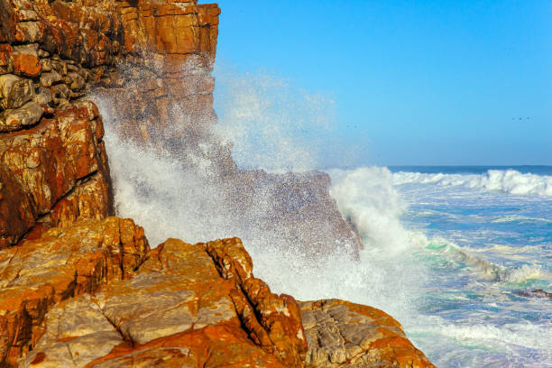 istock The tip of the Cape Peninsula 1296691547