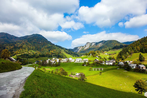 istock Beautiful day. Charming pastoral 1296691585