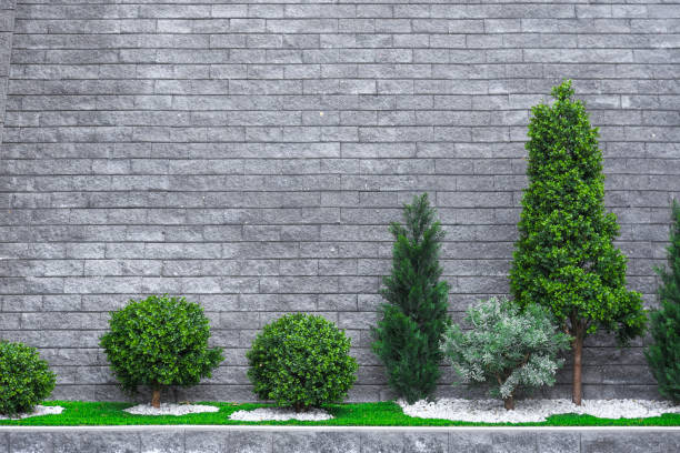 istock Some flowers and nicely trimmed bushes on the leveled and stoned front yard. 1296701456