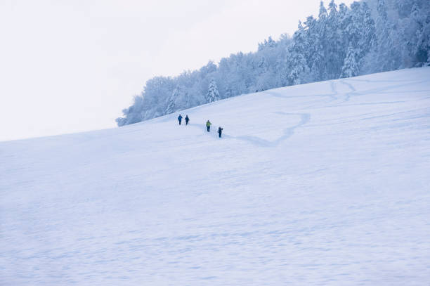 冬 - cross country skiing black forest germany winter ストックフォトと画像