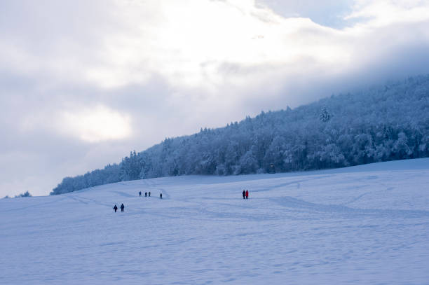 冬 - cross country skiing black forest germany winter ストックフォトと画像