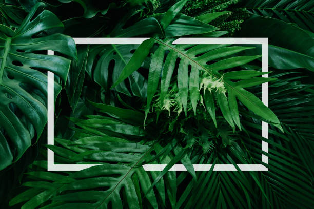 istock Square color cutout with green leaves, 1296703055