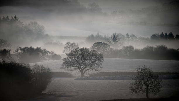 istock trees in the mist and snow in the North Yorkshire moors 1296703220