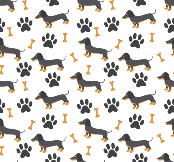 illustrations, cliparts, dessins animés et icônes de modèle sans couture vectorielle dans dachshund pour l’impression et la conception web sur le fond blanc eps 10 - dog wallpaper humor retro revival