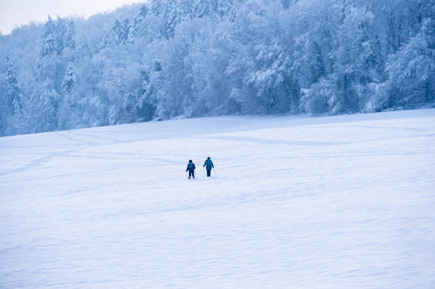 冬 - cross country skiing black forest germany winter ストックフォトと画像