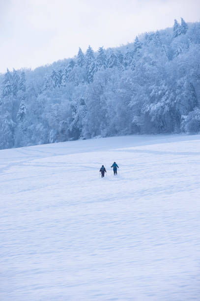 冬 - cross country skiing black forest germany winter ストックフォトと画像