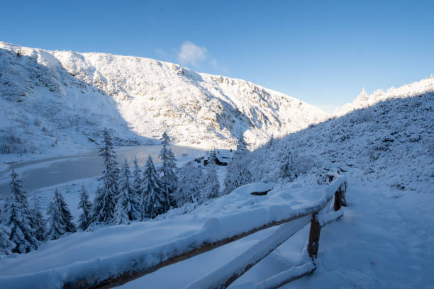 istock winter landscape in Karkonosze mountain in Poland 1296705805