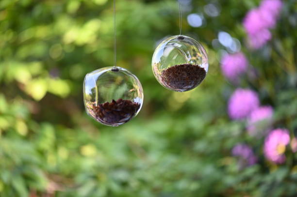 istock Glass bird feeders 1296706040