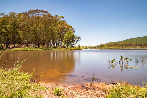 Lake and forest in Divisa dam, Sao Francisco de Paula, Rio Grande do Sul, Brazil