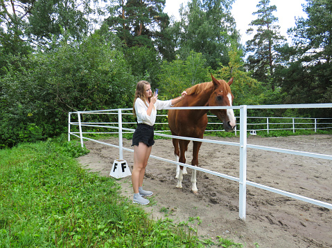 A blonde young woman in a shirt and shorts takes photos on her smartphone of her favorite red horse in a summer paddock, the concept of love for pets, the use of mobile technologies, an active lifestyle, equestrian sports, Sunday walks in nature