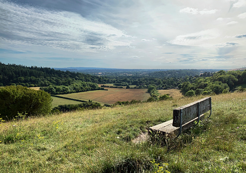 This is a viewpoint that I have returned to many times over the years. It's never the same, yet always the same, which probably speaks to its unique attraction! The characterful empty bench looks out over Pewley Down towards Chantry Woods and distant views beyond to Peasmarsh and Farncombe. The Hogs Back radio transmitters are just visible on the far right horizon.