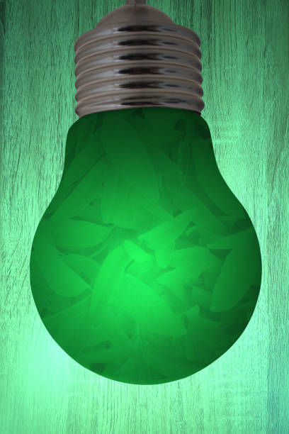 Electric bulb  Sustainable energy  Environmental protection