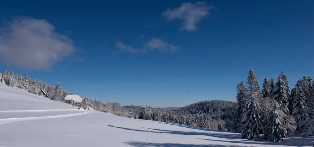 검은 숲의 겨울 목가적 - cross country skiing black forest germany winter 뉴스 사진 이미지