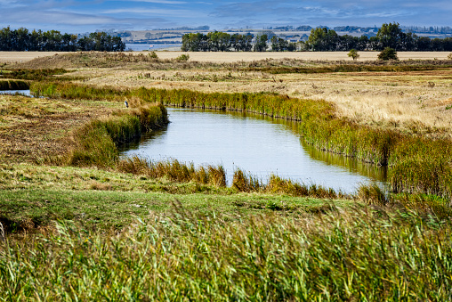 The Swale National Nature Reserve on the Isle of Sheppey in Kent, England