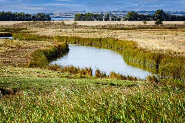 the swale national nature reserve on the isle of sheppey in kent, england - kent inglaterra imagens e fotografias de stock