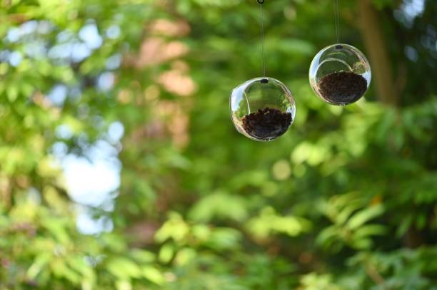 istock Glass bird feeders 1296713486