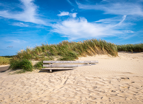 Bench, partly covered with sand,  in the nature reserve of the dunes of Schoorl, North Holland, Netherlands