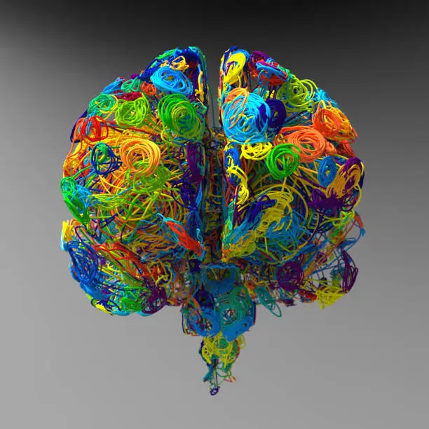 Photo of 3d render. Brain colored illustration