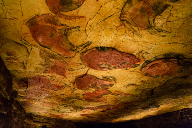 Cave paintings in Altamira cave Bison, deer and other animals represented in prehistory cave painting photos stock pictures, royalty-free photos & images