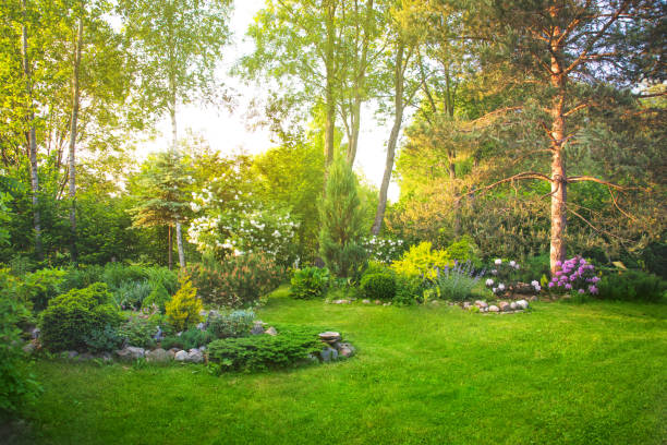 istock Beautiful garden with trees, lawn with green grass 1296721060