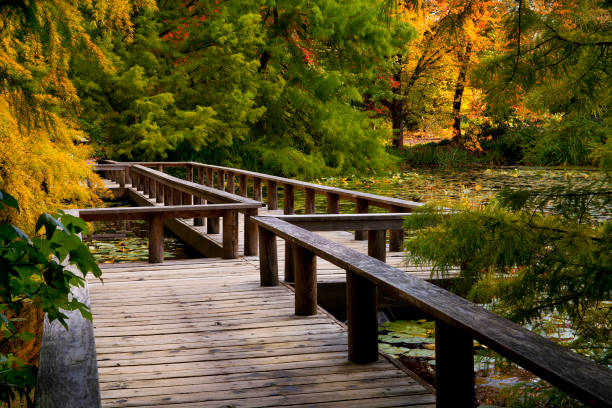 Boardwalk through VanDusen Botanical Garden  in Vancouver, BC, Canada